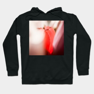 Tulips Hoodie